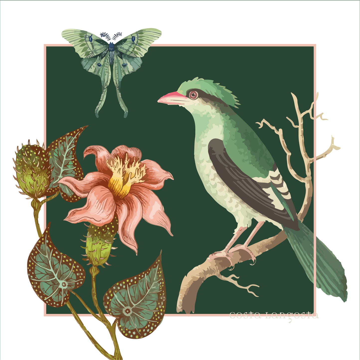 Porta vasos Garden of Love | Set x 4