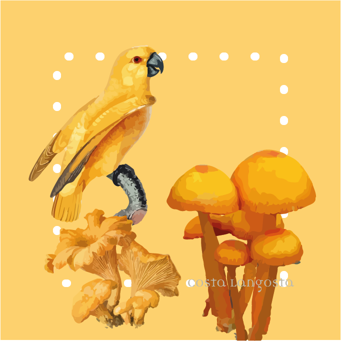 Porta vasos Sunshine | Set x 4