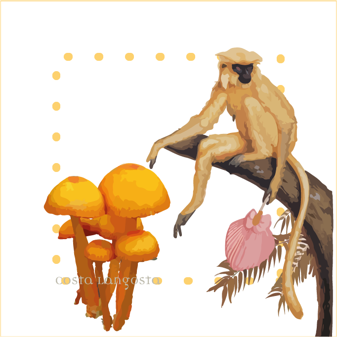 Porta vasos Sunshine | Set x 4