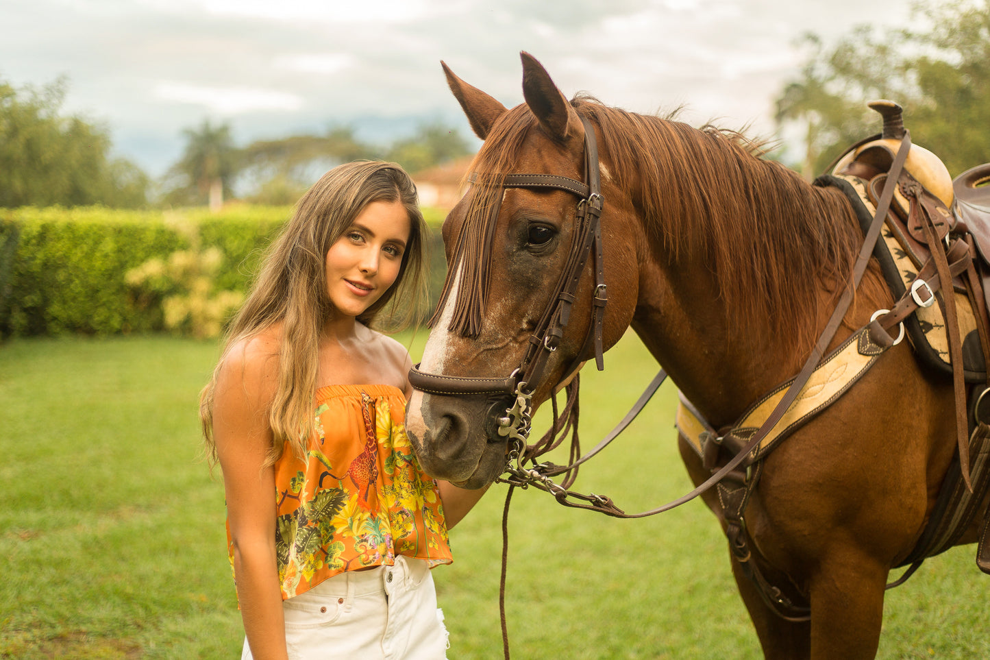 Blusa strapless Giraffe